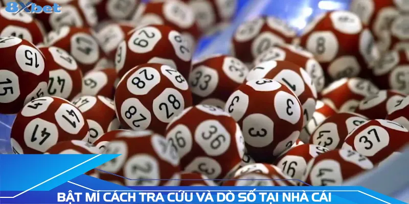 bat-mi-cach-tra-cuu-va-do-so-tai-nha-cai