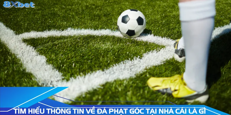 tim-hieu-thong-tin-ve-da-phat-goc-tai-nha-cai-la-gi